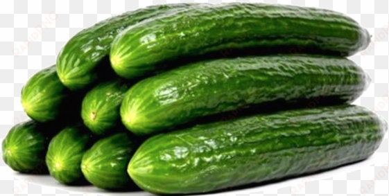 veg cucumbers organic english cucumber - european cucumbers