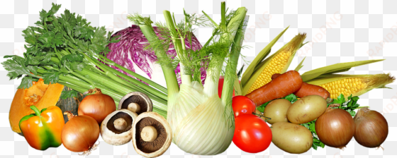 vegetables, mixed, food, cooking, healthy, harvest - vegetable