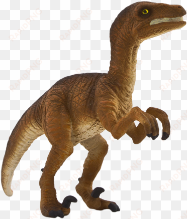 velociraptor standing - animal planet - velociraptor standing