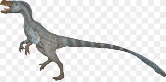 velociraptor transparent images png - velociraptor mongoliensis png