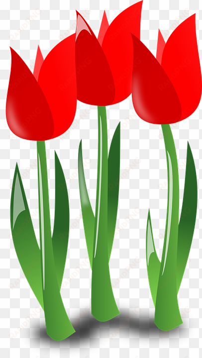 *ver Y Descargar 30 Flores Y Rosas Rojas Gratis Para - Mothers Day Flowers Clipart transparent png image