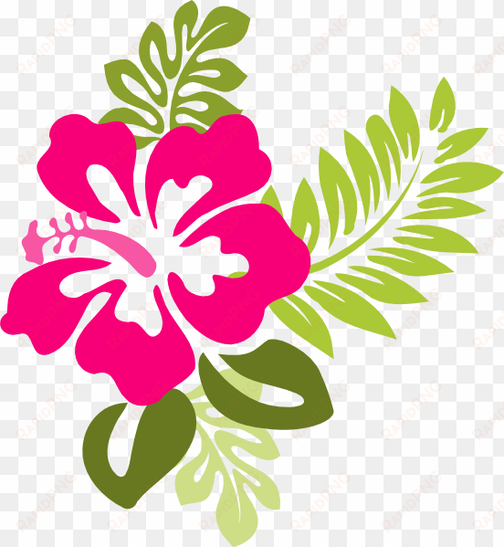 very best clipart flower free hibiscus clipart collection - hibiscus flower clipart png