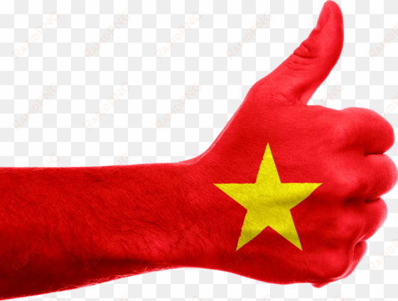 vietnam flag transparent background - best whatsapp status for 14 august