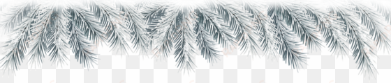 view full size - white christmas branches png