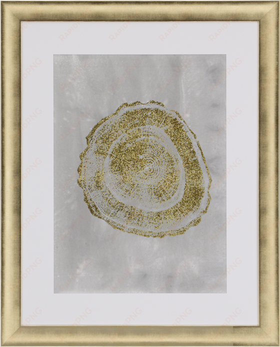 view larger image - paragon tree ring iii by vision studio framed graphic