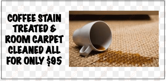 view larger image professional carpet cleaning - carpet cleaning