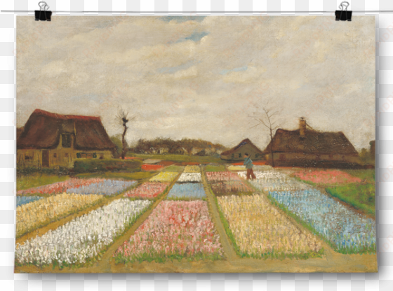 vincent van gogh - tulip fields van gogh