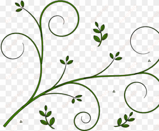 vine clipart design - vine line drawing flower