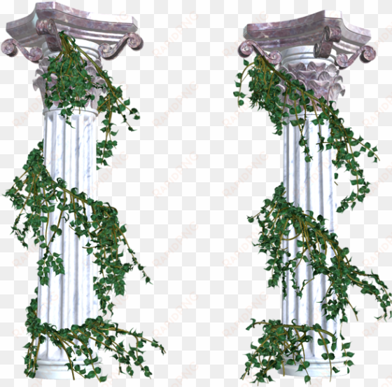 vines clipart png transparent images - vines transparent png