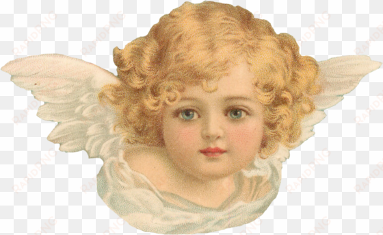 vintage angel transparent