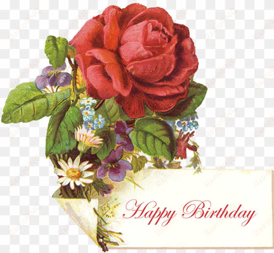 vintage birthday greeting with red rose - birthday vintages red roses