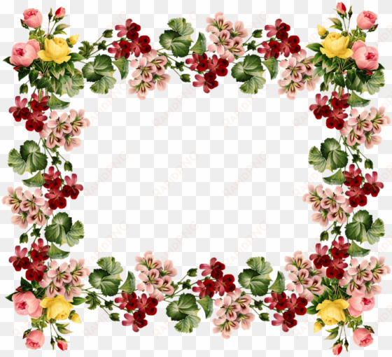 vintage frames and borders - vintage floral border design