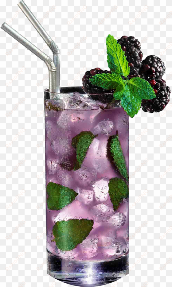 violet mojito - tbl drinks