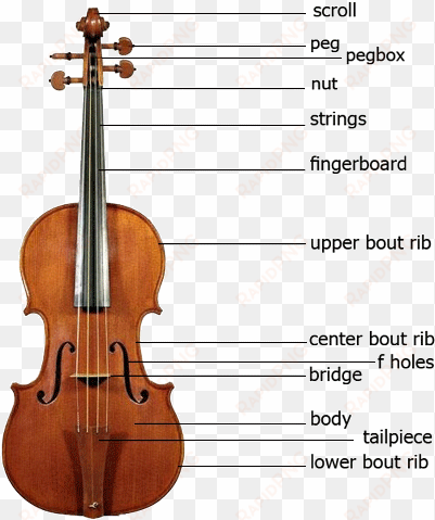 violin parts - violin parts in english