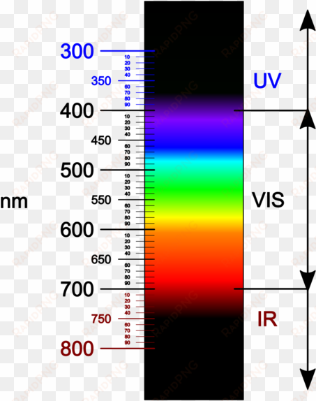visible light spectrum - electromagnetic spectrum
