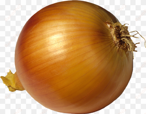 visit - onion
