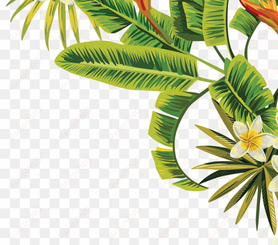 visit - transparent tropical leaves png