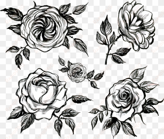 visual arts floral design white rose - tea
