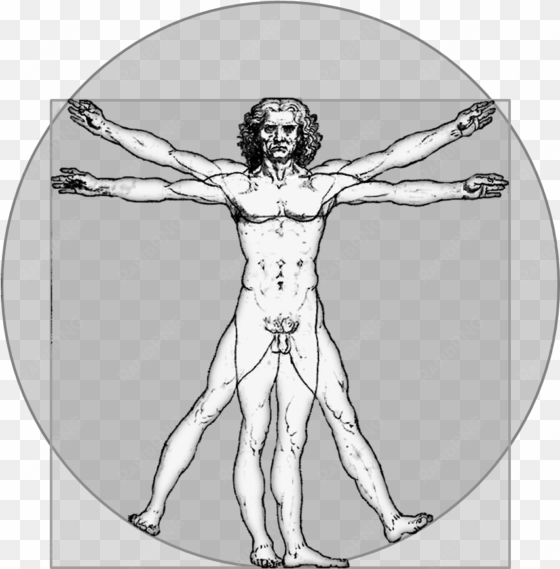 vitruvian icon gray - introduction to 12-lead ecg: the art