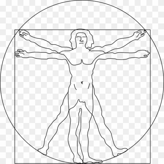 vitruvian man outline svg