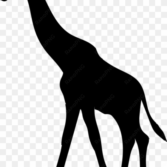 Volleyball Clipart Church - Giraffe Silhouette transparent png image