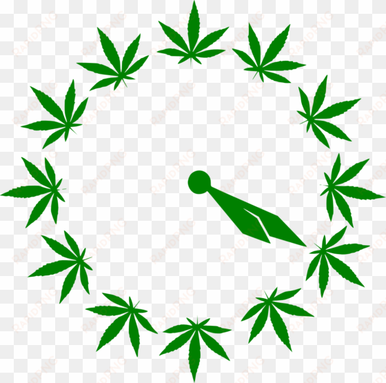wall pot clock - cinco de mayo cannabis