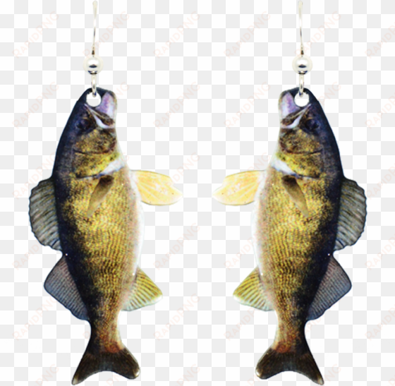 walleye - d'ears women's fish earrings - stainless steel - hypoallergenic