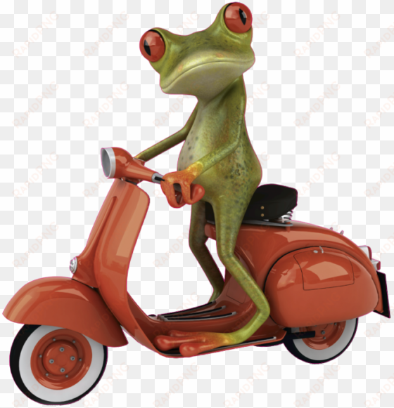 wallpaper backgrounds, desktop wallpapers, vespa, scooters, - funny pics of frog