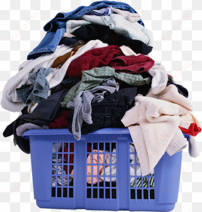 wash, dry and fold home delivery - stop clutter from stealing your life: discover
