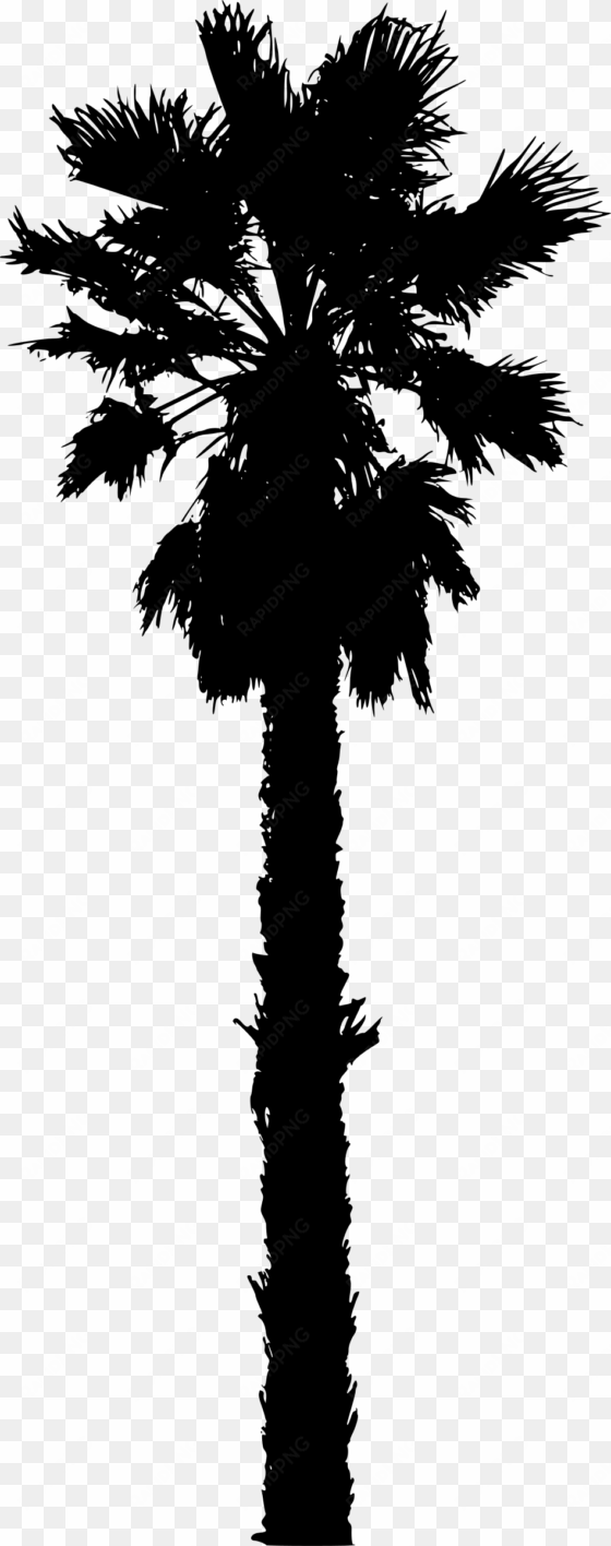 washingtonia palm tree png image freeuse download - california palm trees vector