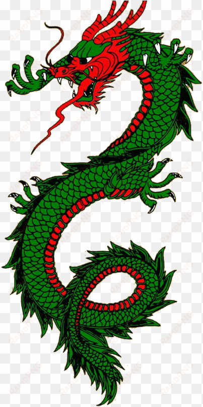 water dragon, - green dragon serpent shower curtain