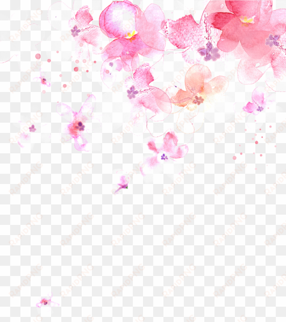 watercolor cherry blossoms - portable network graphics