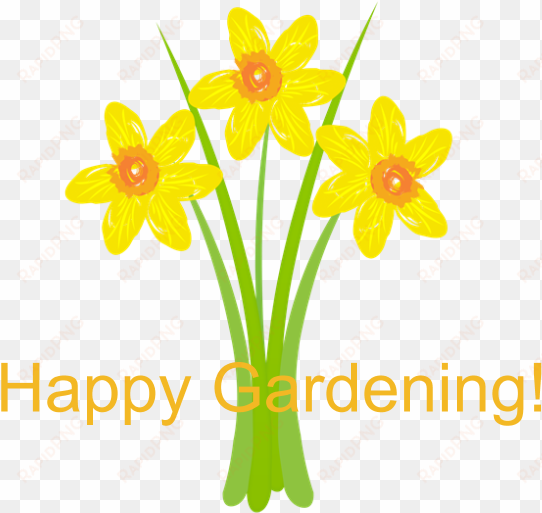 watercolor daffodils gardener 5'x7'area rug - birthday