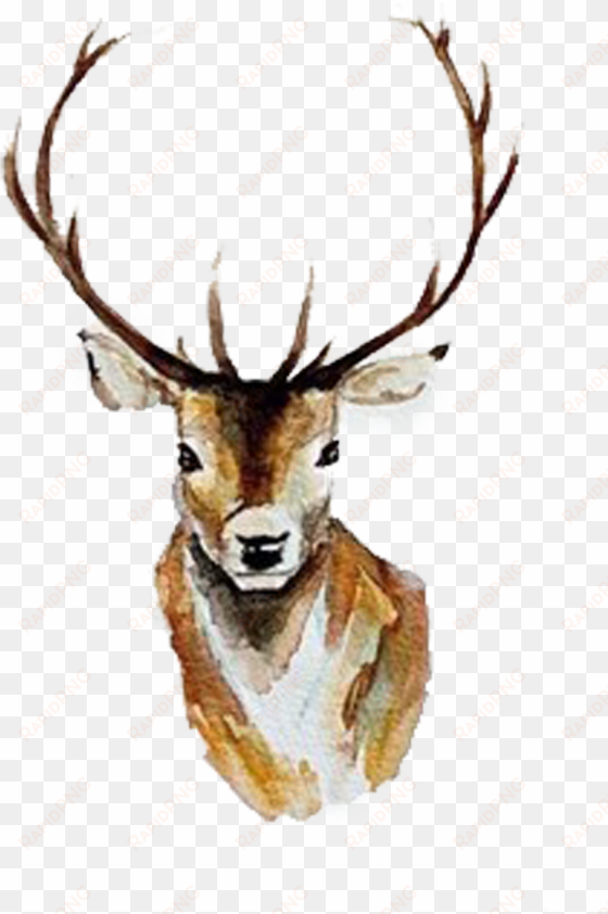watercolor deer antlers png - deer watercolor