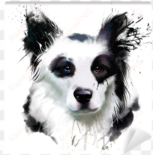 watercolor dog portrait of a border collie, closeup - watercolor painting