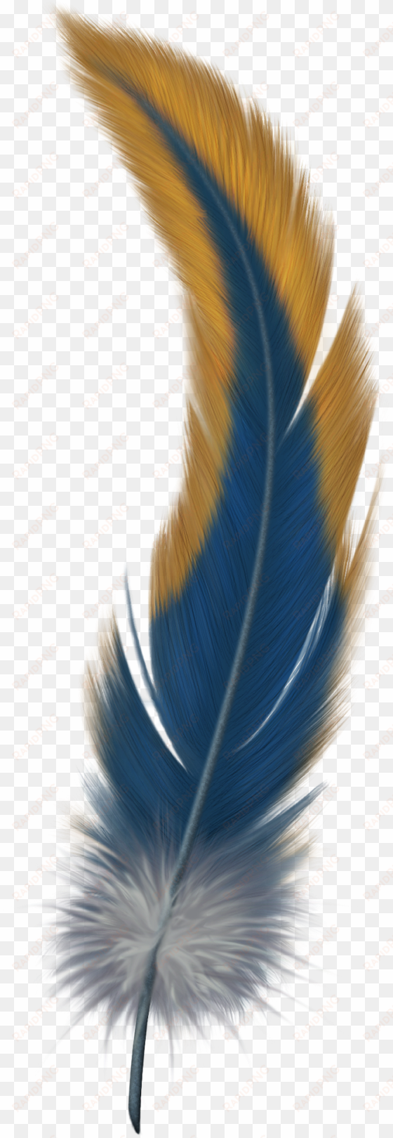 watercolor feather, feather painting, feather art, - feather png