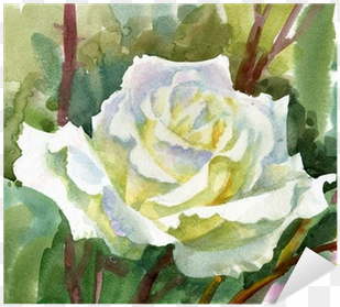 watercolor flower collection - fleurs blanches aquarelles fleurs