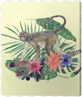 watercolor hand drawn illustration with monkey, feathers, - watercolor painting