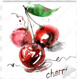 watercolor hand painted cherry berries on white background - food