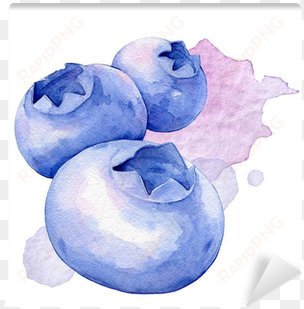 Watercolor Illustration Wall Mural • Pixers® • We Live - Arandanos Acuarela transparent png image