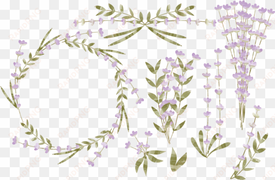 watercolor lavender png - png flower leaf lavender