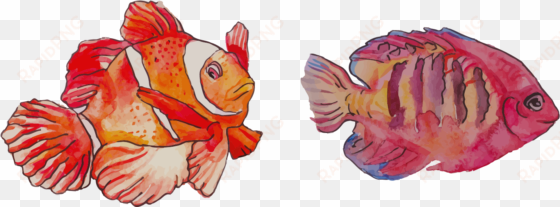 watercolor painting clownfish - fish clip art watercolor