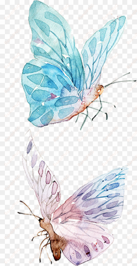 watercolor painting drawing clip art - watercolor butterfly illustration png