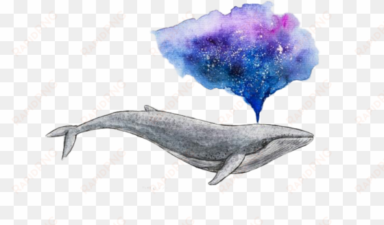 watercolor painting drawing whale art - watercolour whale