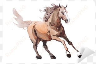 watercolor painting of galloping horse, free running - cheval au galop dessin