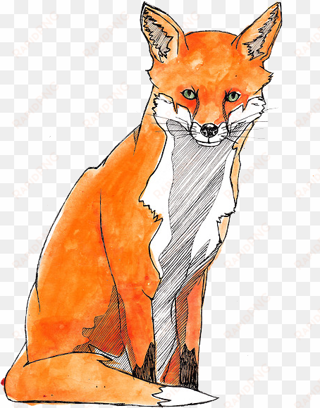 watercolor painting red fox - watercolor painting