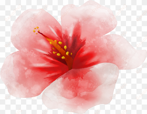 watercolor painting simple pen painting red flower - sencillo pinturas en acuarela