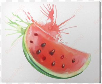 watercolor painting, watermelon, vector illustration, - wassermelone watercolor