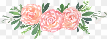 watercolor peonies, peonies, peony, floral png and - water color peonies no background