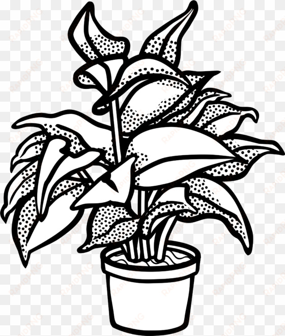 watercolor potted plants clipart, potted plants, cactus, - clip art black and white plant